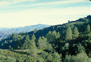 Agua Tibia Wilderness