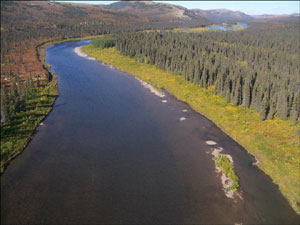 Photograph taken in  the  Andreafsky Wilderness