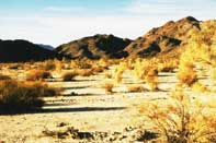 Photograph taken in  the  Cleghorn Lakes Wilderness