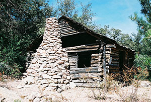 Photograph taken in  the  Galiuro Wilderness