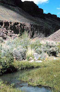 High Rock Canyon Wilderness