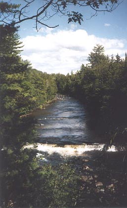Looking over a short falls down over a small river channel, bordered by dense green forest.
