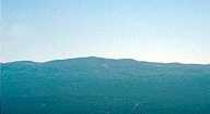 Photograph taken in  the  Mount Baldy Wilderness