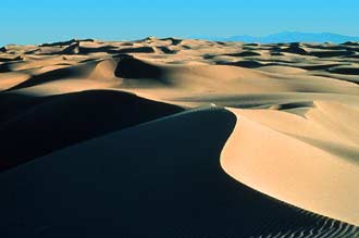 North Algodones Dunes Wilderness