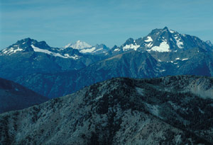 Photograph taken in  the  Pasayten Wilderness