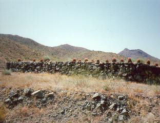 Photograph taken in  the  Piute Mountains Wilderness