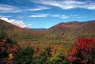 Photograph taken in  the  Presidential Range-Dry River Wilderness