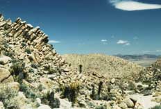 Rodman Mountains Wilderness