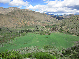 The Sesape Wilderness Area houses natural wildlife in Fillmore real estate.
