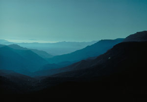 Photograph taken in  the  Sierra Ancha Wilderness