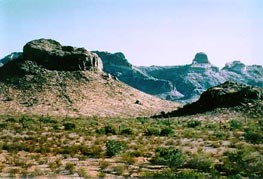 Table Top Wilderness